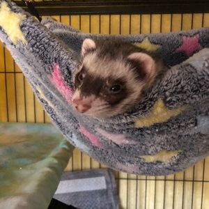 Meet your Posher, Izzie